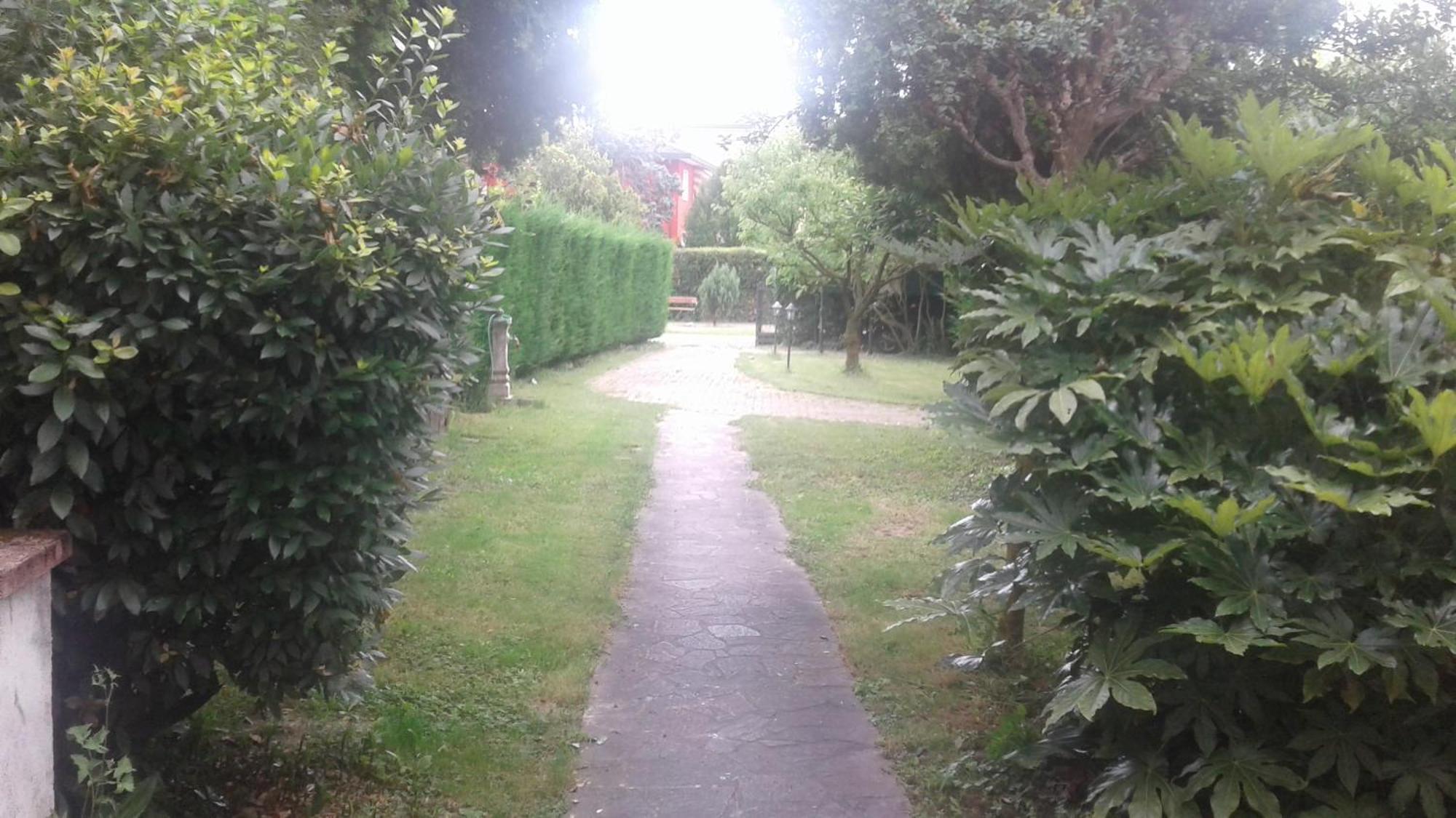 B&B Villa Trotter Mira Dış mekan fotoğraf